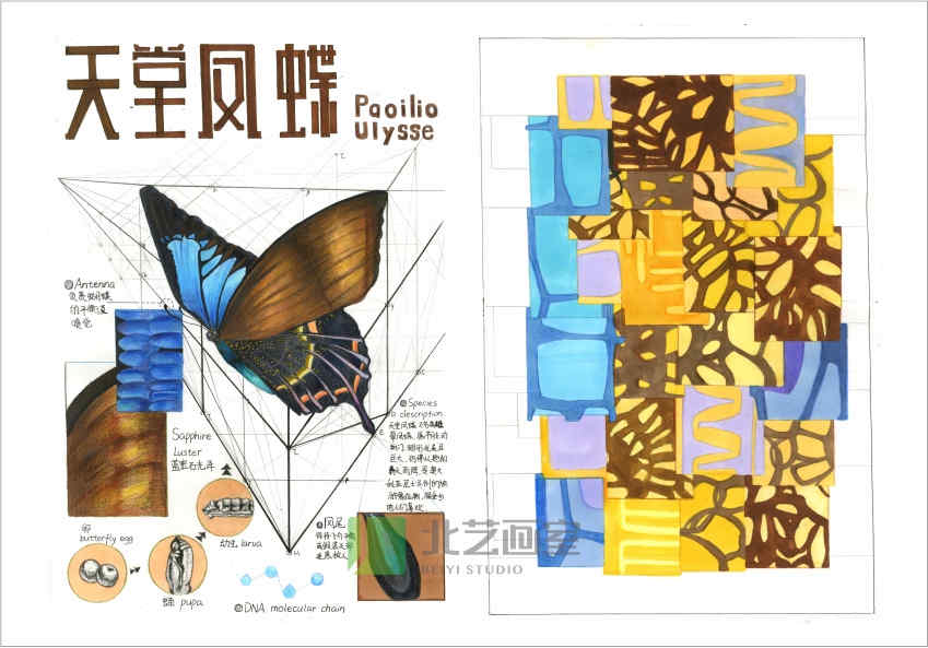 武漢北藝畫室設(shè)計(jì)作品賞析