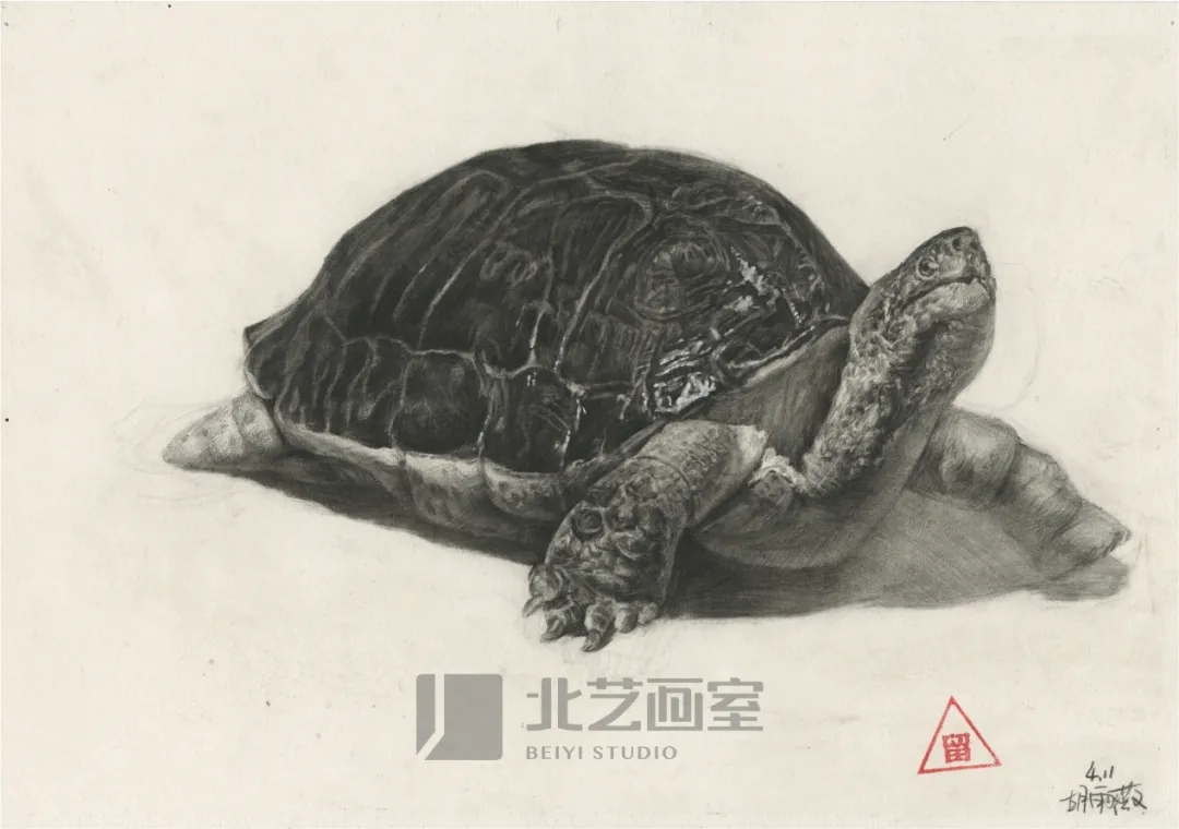 北藝畫室基礎(chǔ)部【春季班】第一期課堂成果