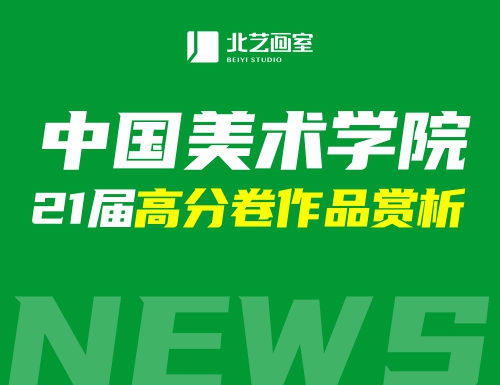 中國(guó)美術(shù)學(xué)院2021屆高分卷作品賞析