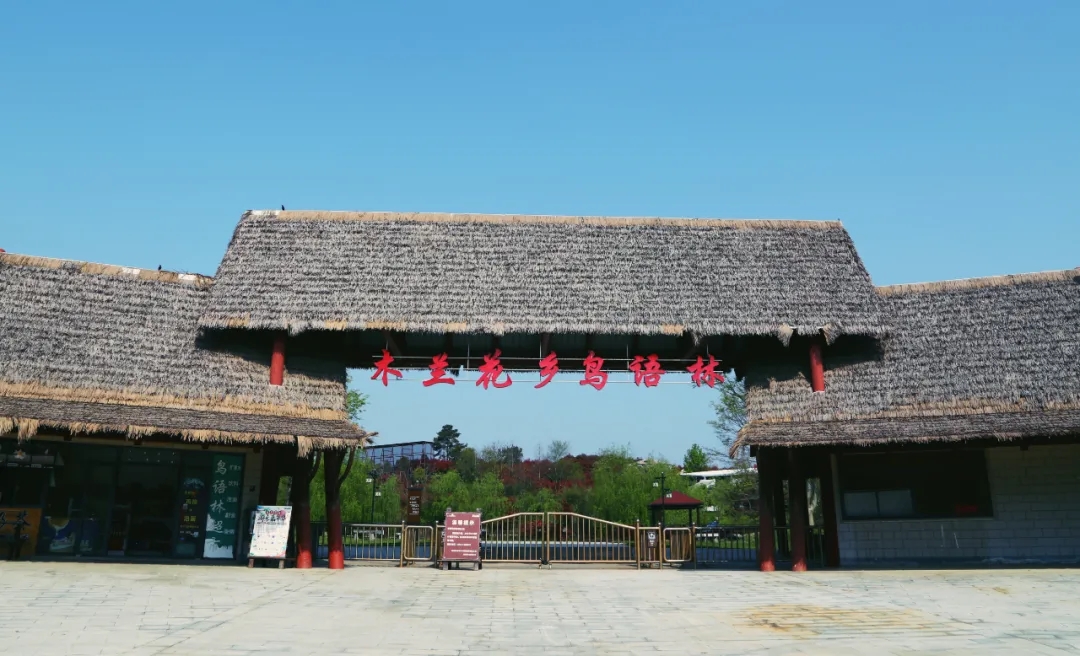 北藝畫室2021教師團(tuán)建