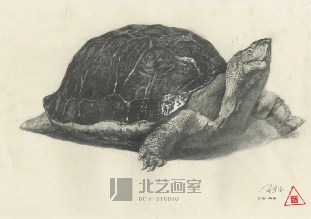 北藝畫室基礎(chǔ)部【春季班】第一期課堂成果