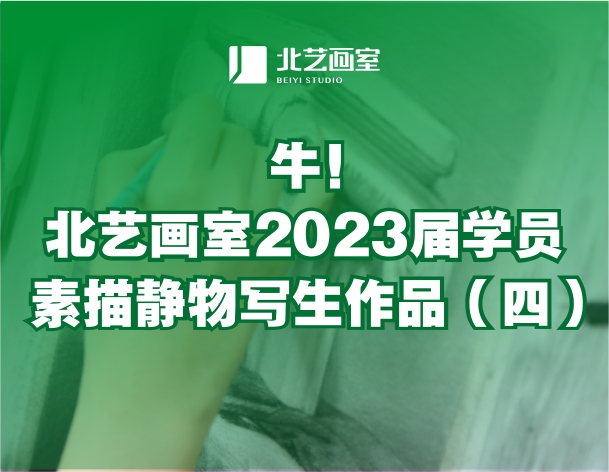 牛！北藝畫室2023屆學(xué)員素描靜物寫生作品（四）