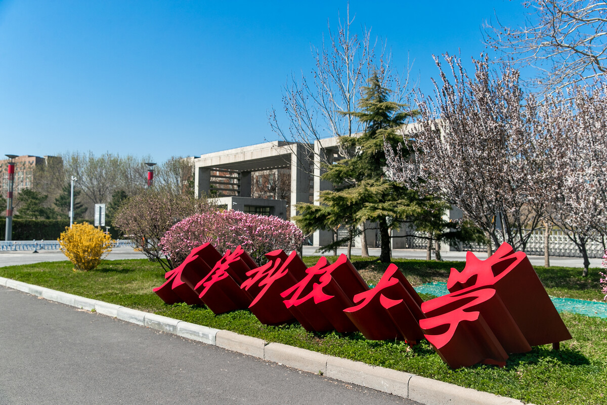 天津科技大學(xué)2023年美術(shù)類錄取分?jǐn)?shù)線是多少？藝術(shù)類招生484人