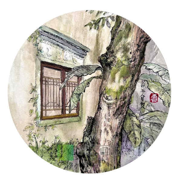 北藝畫室風(fēng)景速寫作品賞析