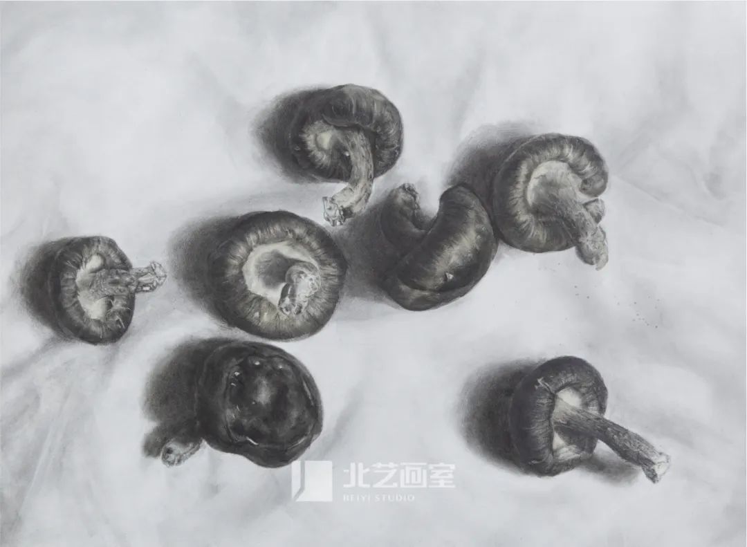 北藝畫室2023屆學員新素描靜物寫生優(yōu)秀作品
