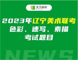 2023年遼寧美術(shù)聯(lián)考色彩、速寫、素描考試題目