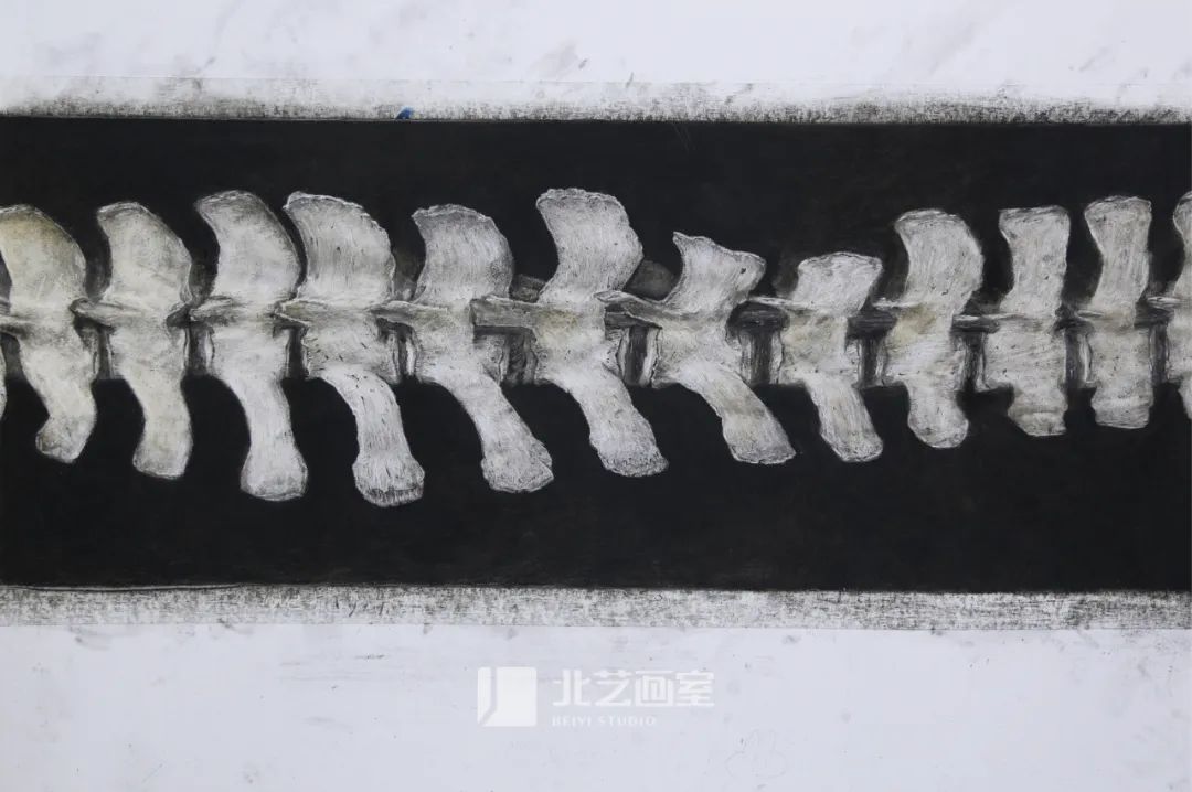 北藝畫室2023屆學員新素描靜物寫生優(yōu)秀作品