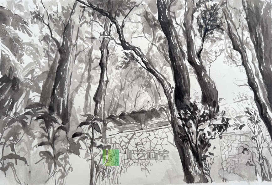 北藝畫室風(fēng)景速寫作品賞析