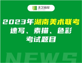 2023年湖南美術(shù)聯(lián)考速寫、素描、色彩考試題目