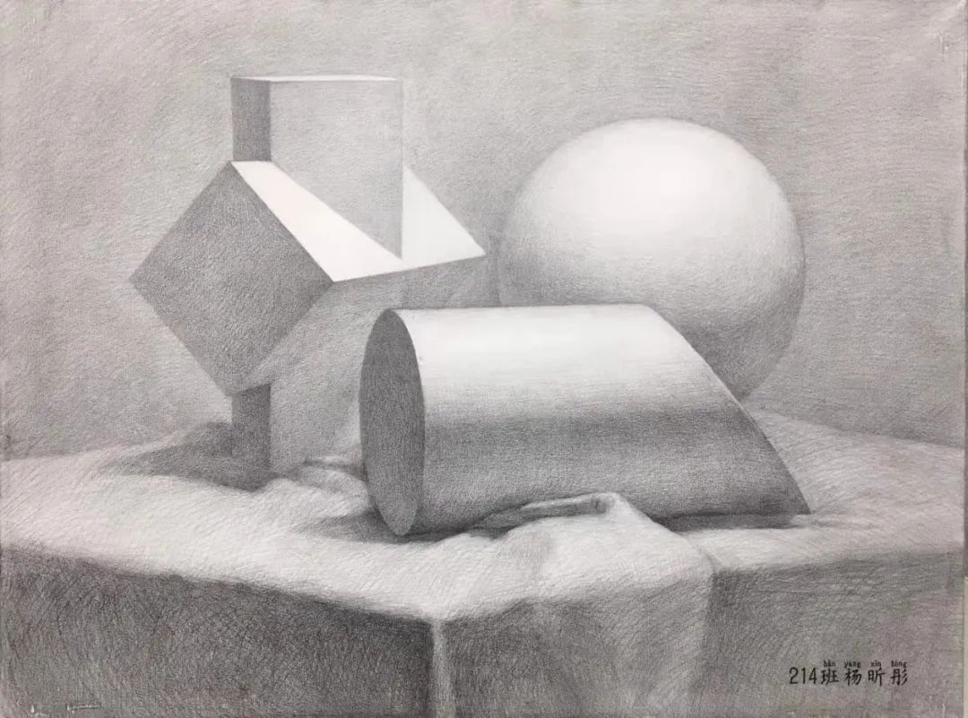 中央美術(shù)學(xué)院優(yōu)秀素描作品
