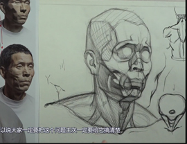 素描頭像（頭部的肌肉結(jié)構(gòu)）畫法的講解示范