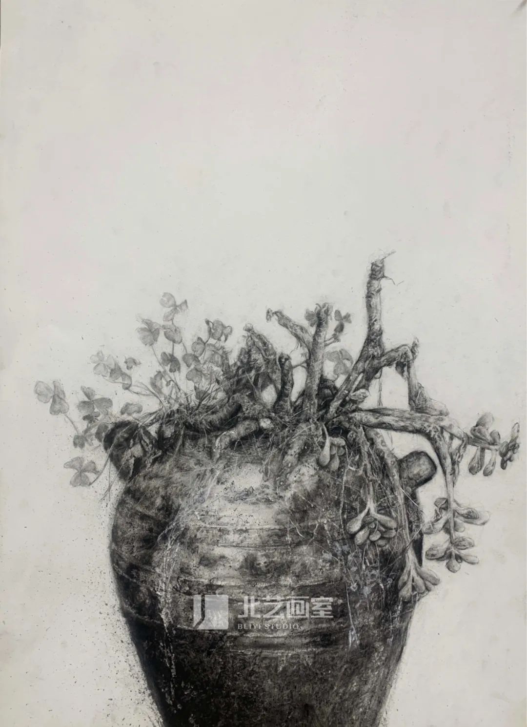 北藝畫(huà)室2023屆學(xué)員新素描作品