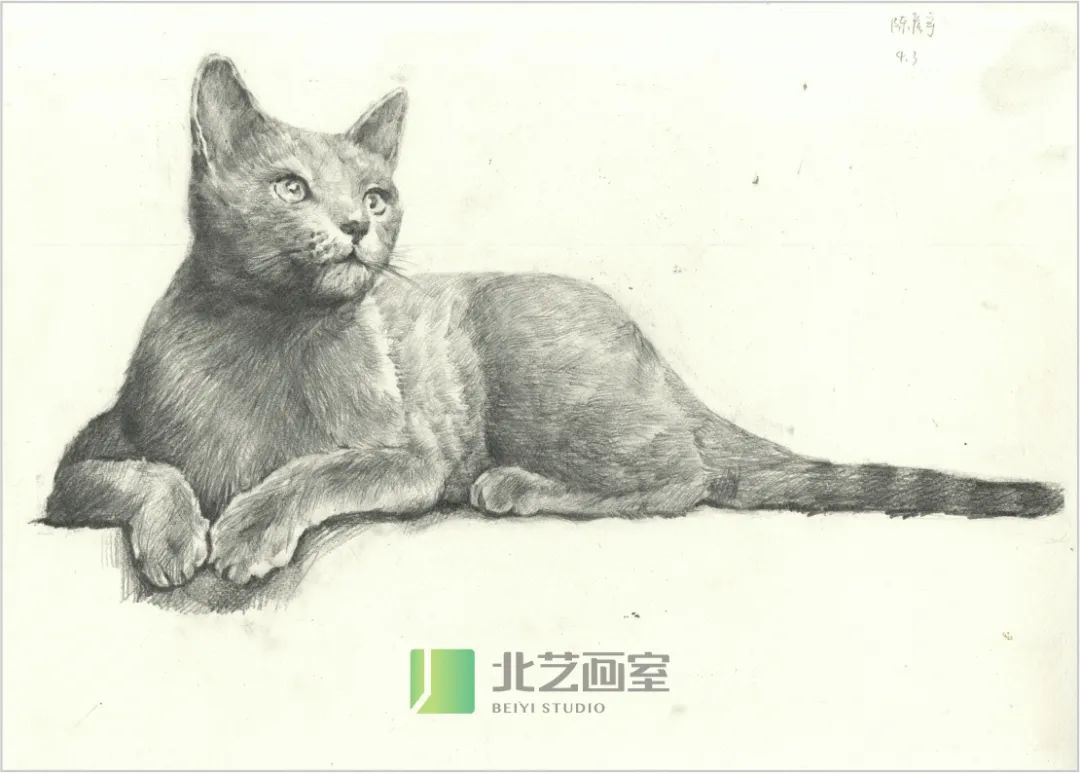 課堂作品展示