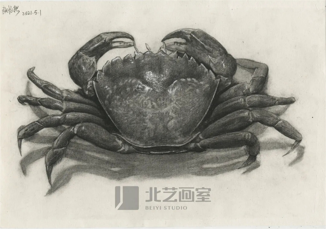 北藝畫室基礎(chǔ)部【春季班】第一期課堂成果