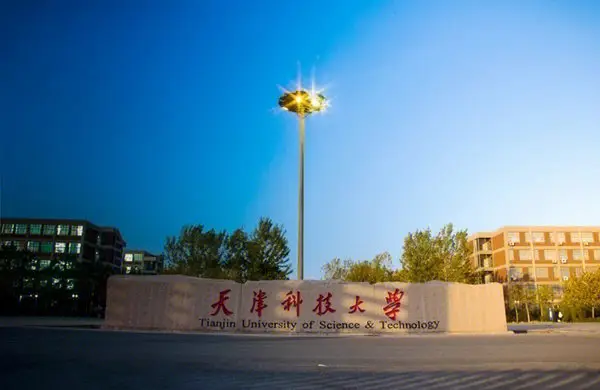 招生484人，天津科技大學(xué)2024年藝術(shù)類專業(yè)招生簡(jiǎn)章解讀