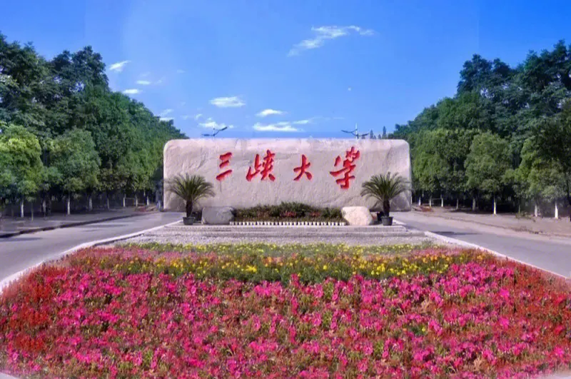 招生320人！解讀三峽大學(xué)2024年藝術(shù)類專業(yè)招生簡(jiǎn)章