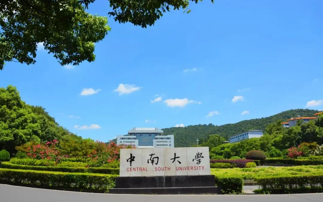 招211人，中南大學(xué)發(fā)布2024年藝術(shù)類專業(yè)招生簡(jiǎn)章解讀