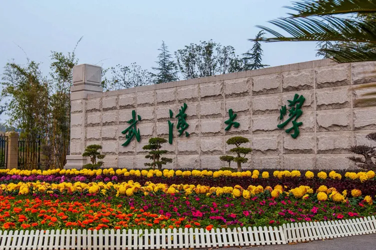 湖北美術(shù)生考得如何？最好錄取大學(xué)要多少分？