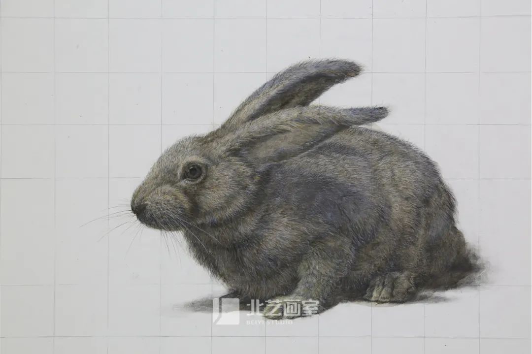 太吸睛！一大波北藝新素描作品來襲~
