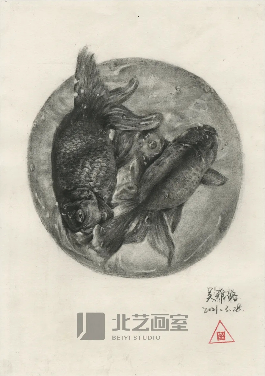 北藝畫室基礎(chǔ)部【春季班】第一期課堂成果