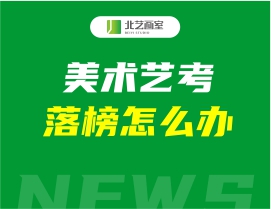 美術(shù)藝考落榜怎么辦