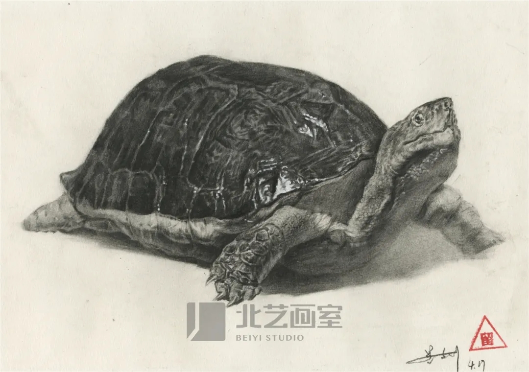北藝畫室基礎(chǔ)部【春季班】第一期課堂成果