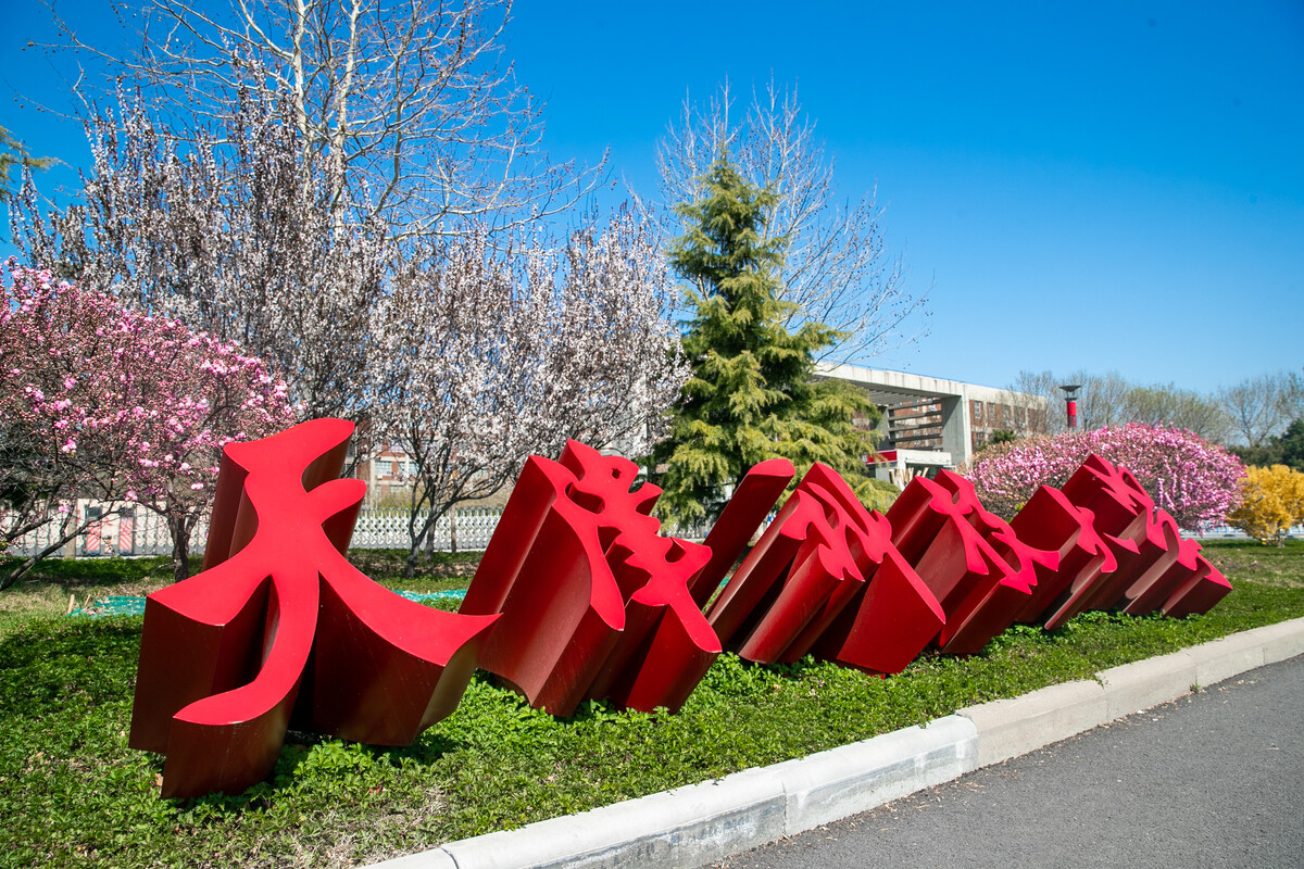 天津科技大學(xué)2023年承認(rèn)各省美術(shù)統(tǒng)考成績(jī)
