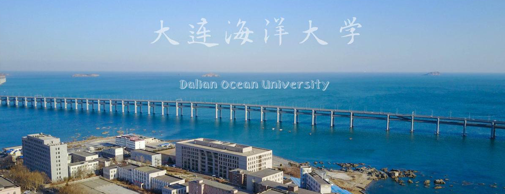 揚(yáng)帆起航！大連海洋大學(xué)2024年采用各省美術(shù)統(tǒng)考成績(jī)