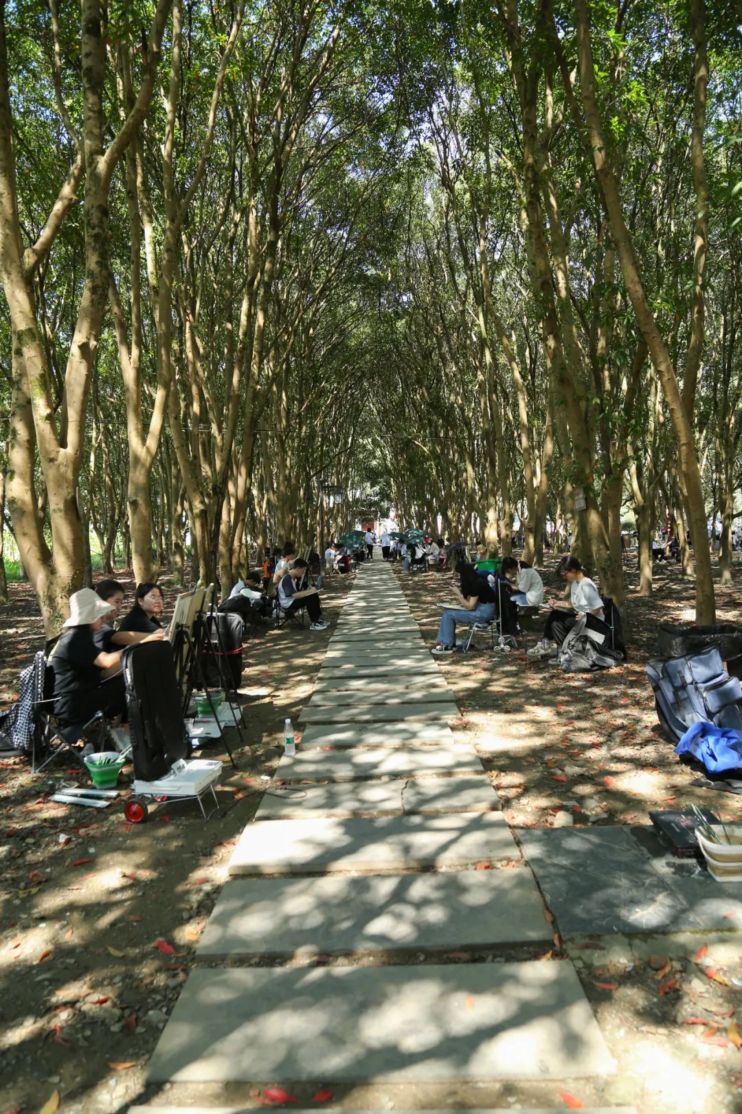 2023年北藝畫室婺源寫生紀(jì)實