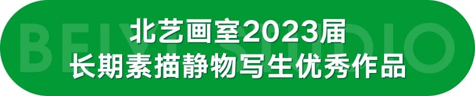 北藝畫(huà)室2023屆學(xué)員新素描作品