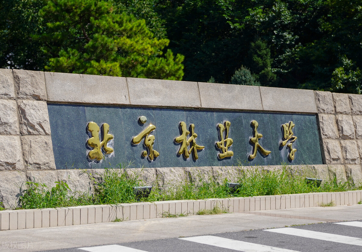 2024年北京林業(yè)大學(xué)美術(shù)類招生專業(yè)介紹